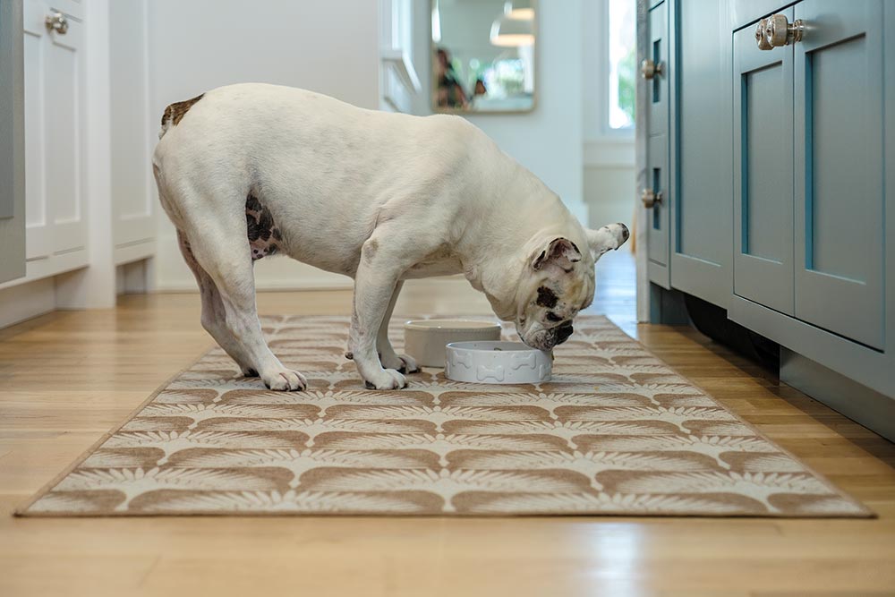Flock Camel Kitchen Washable Rug