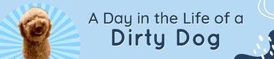 A Day in the Life of a Dirty Dog