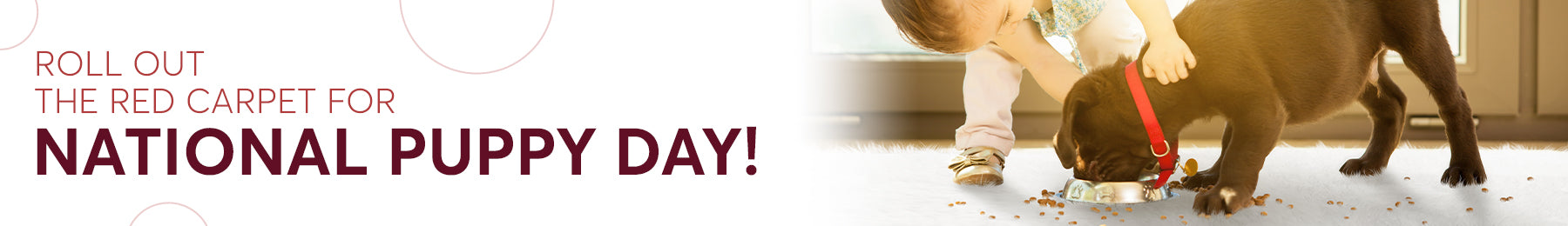 A little girl holds a puppy as the puppy eats on My Magic Carpet washable rug by a window.