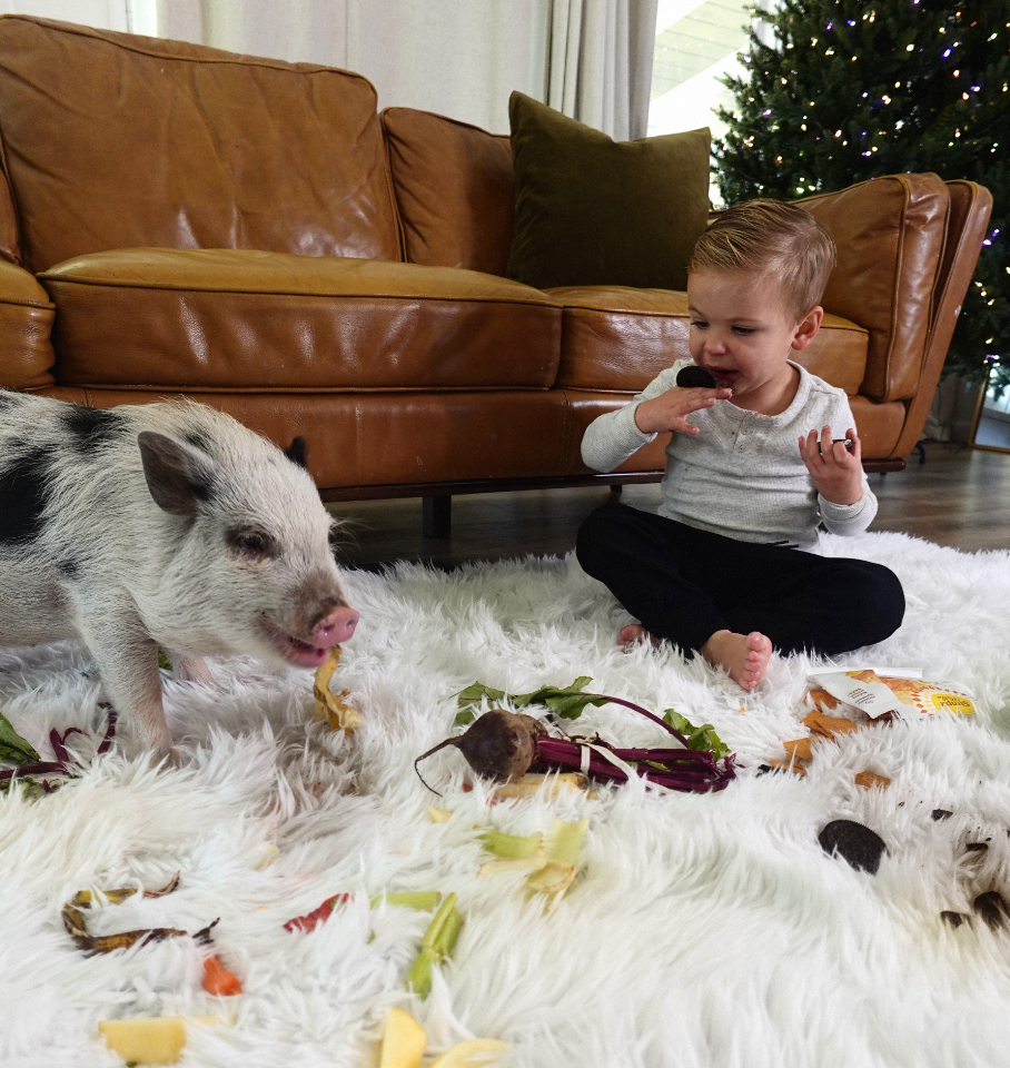 Can Washable Rugs Handle Heavy Pet Traffic? A Durable and Practical Choice for Pet Owners