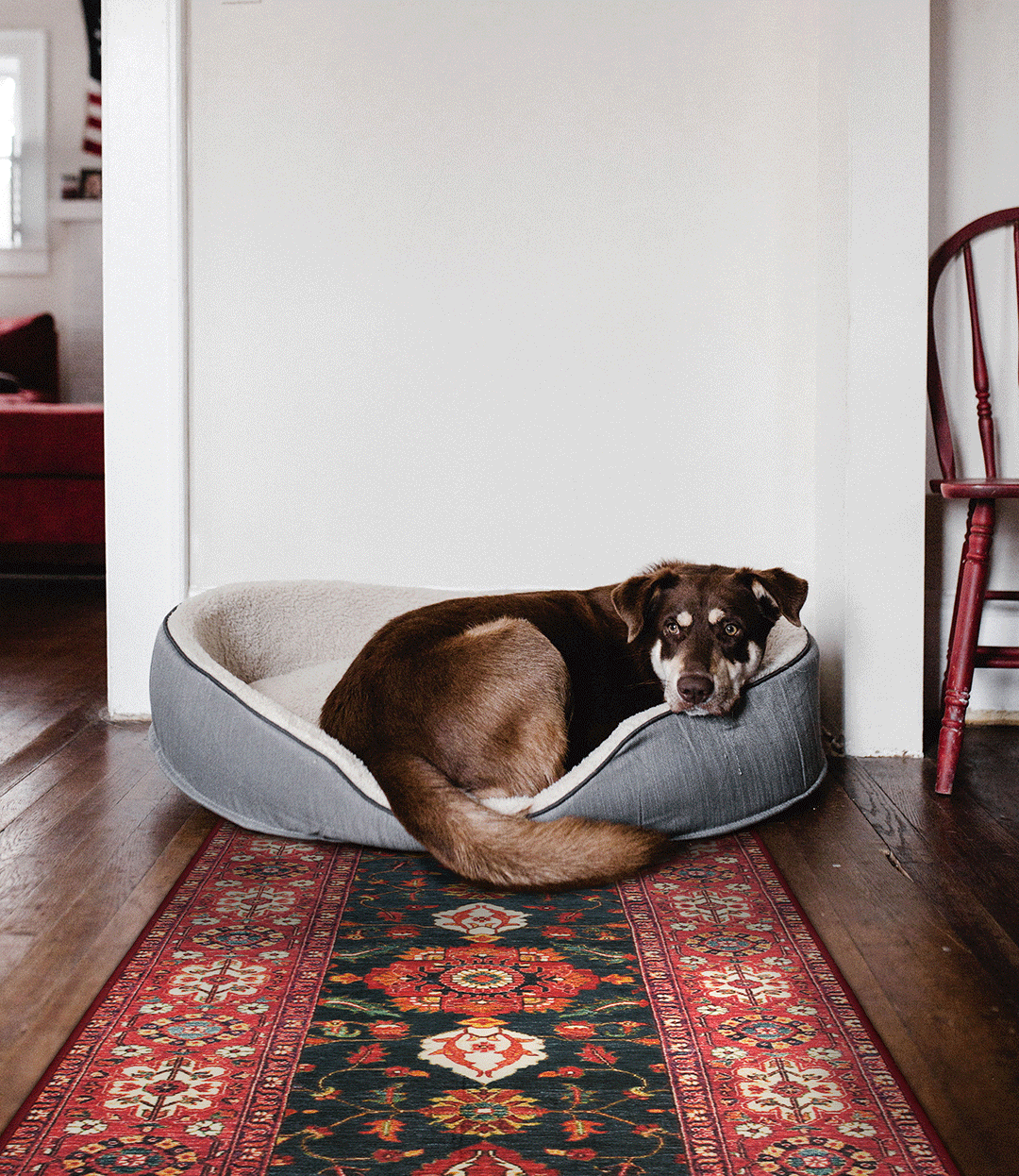 The Secret Behind My Magic Carpet's Revolutionary Rugs