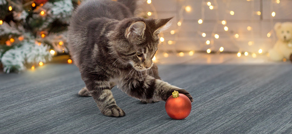 Header for My Magic Carpet blog, a kitten on a rug playing with an ornament