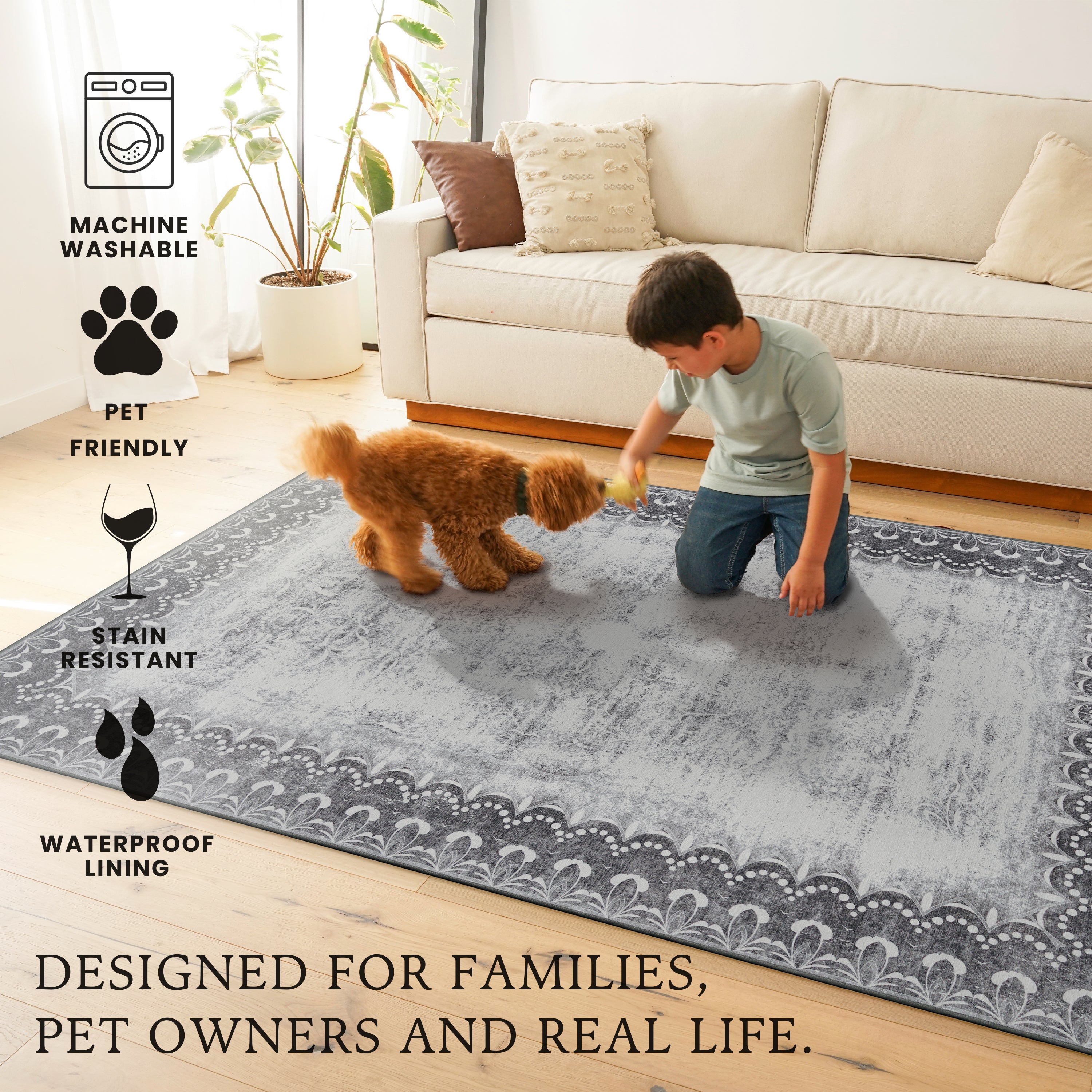 Dardon Bordered Grey Washable Rug