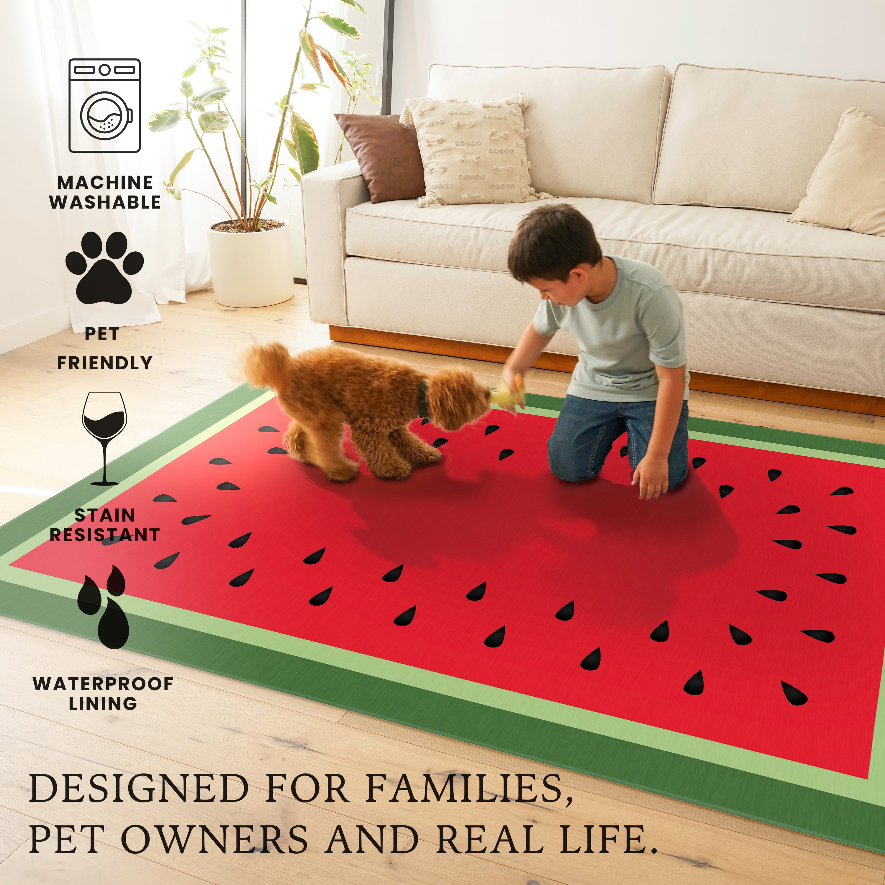 Watermelon Tray Red Green Black Machine Washable Rug