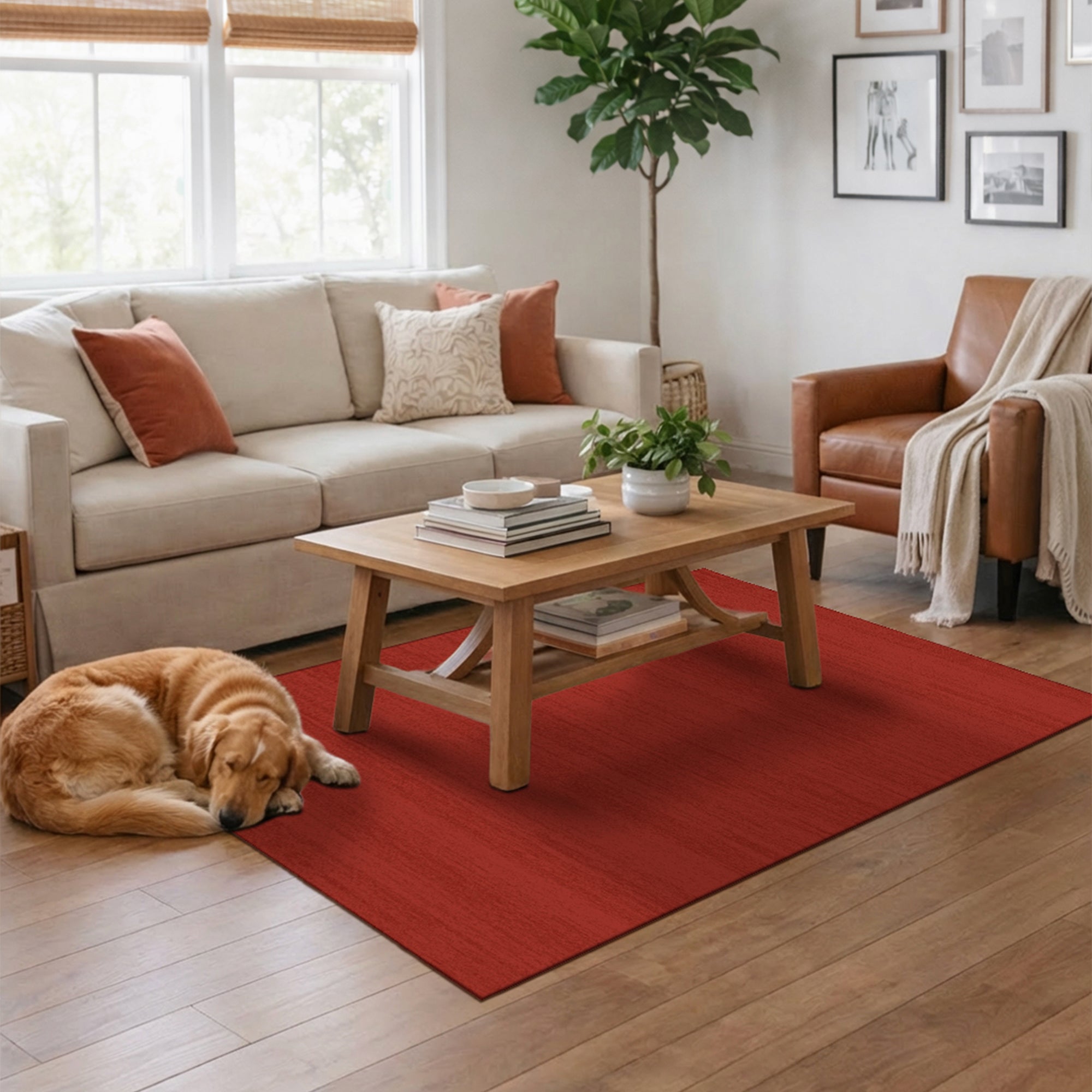 Solid Red Machine Washable Rug