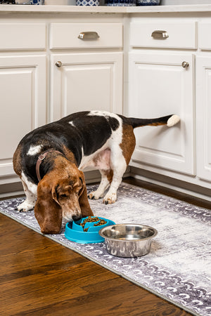 Dardon Bordered Grey Washable Rug